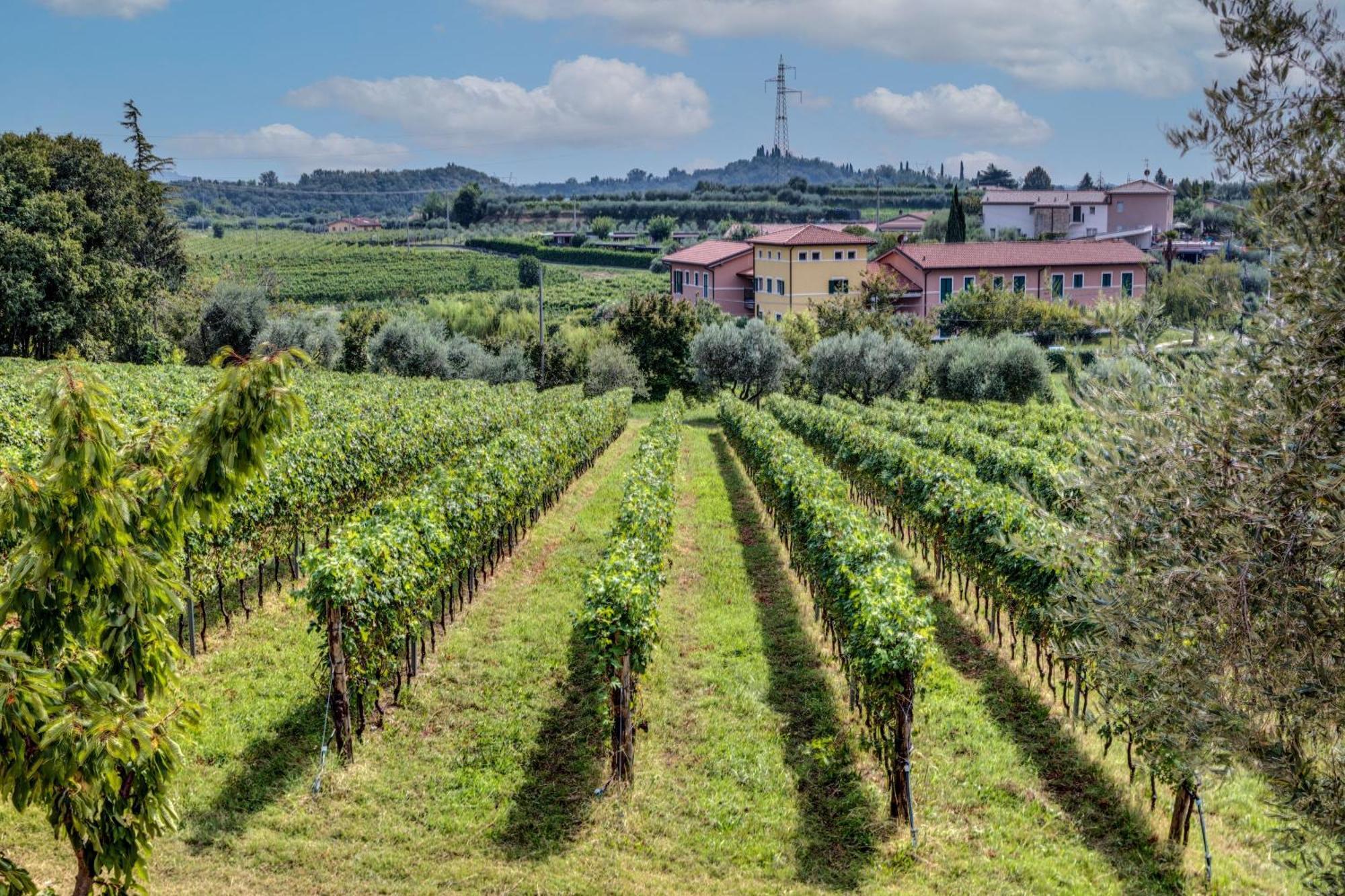 Tenuta di Palú Bardolino Exterior foto